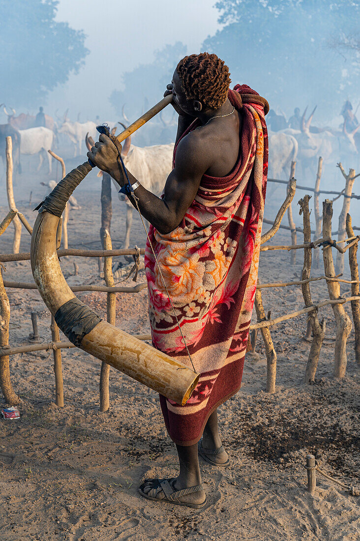 Mann bläst in ein massives Kuhhorn, um den Kühen zu signalisieren, dass sie zurückkommen sollen, Mundari-Stamm, Südsudan, Afrika