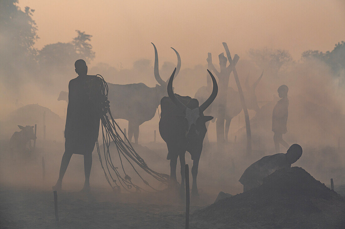 Gegenlichtaufnahme eines Mundari-Viehlagers, Stamm der Mundari, Südsudan, Afrika