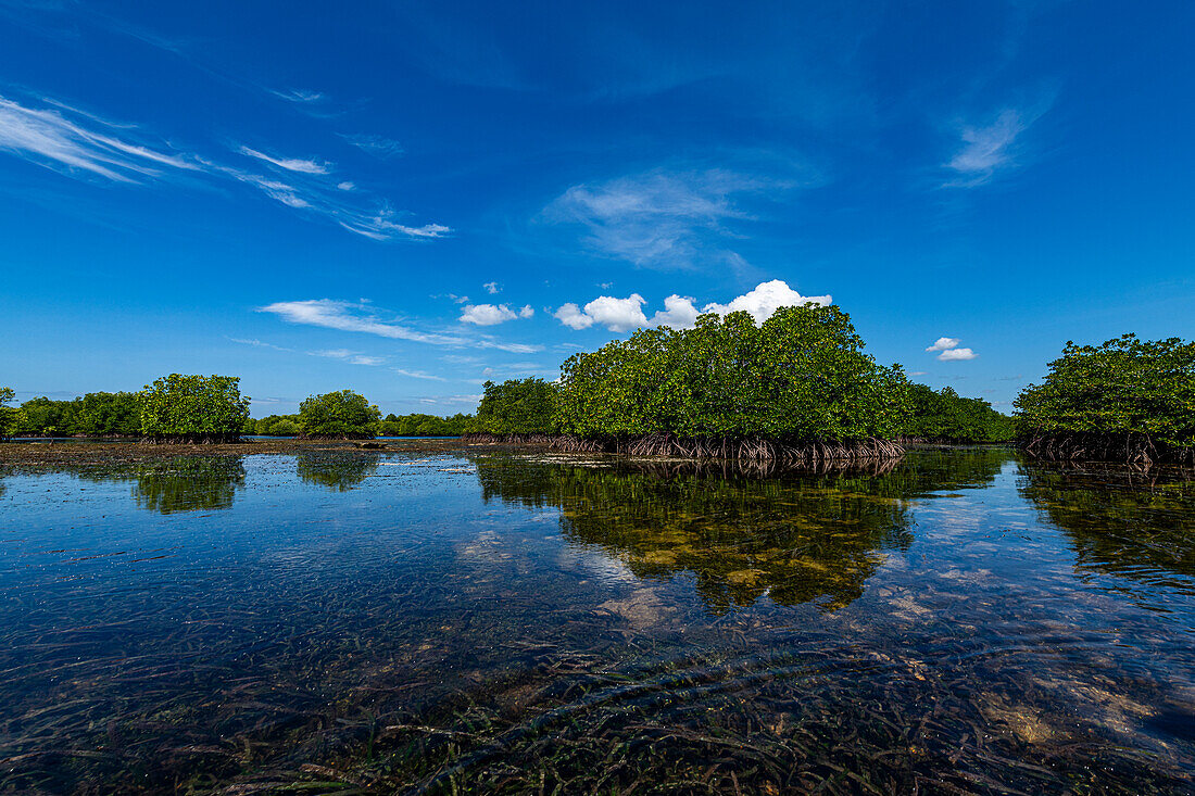 Sümpfe in Grande Santa Cruz Island, Zamboanga, Mindanao, Philippinen, Südostasien, Asien