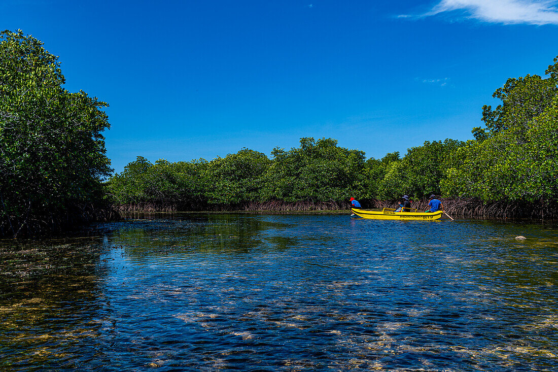 People in a liitle boat in the swamps of Grande Santa Cruz Island, Zamboanga, Mindanao, Philippines, Southeast Asia, Asia