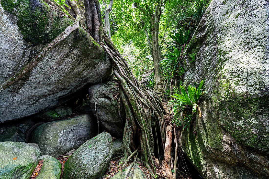 Riesige Granitfelsen auf Pulau Kelayang, Insel Belitung vor der Küste Sumatras, Indonesien, Südostasien, Asien