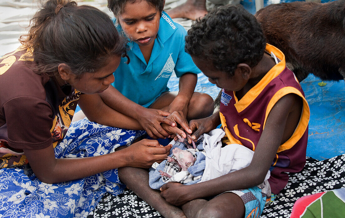 Aborigine-Kinder kümmern sich um ein verwaistes Känguru-Baby (Joey), Nyinyikay Homeland, East Arnhem Land, Northern Territory, Australien, Pazifik