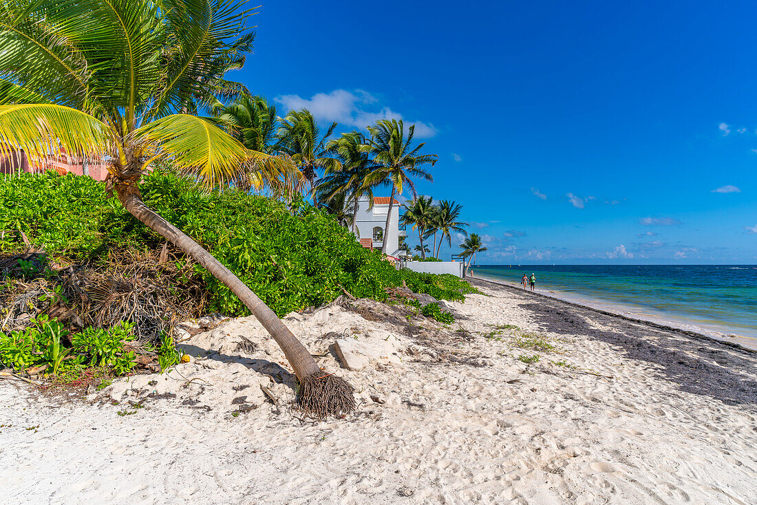 Blick auf Palmen und Hotel am Strand von Puerto Morelos, Karibikküste, Yucatan-Halbinsel, Riviera Maya, Mexiko, Nordamerika