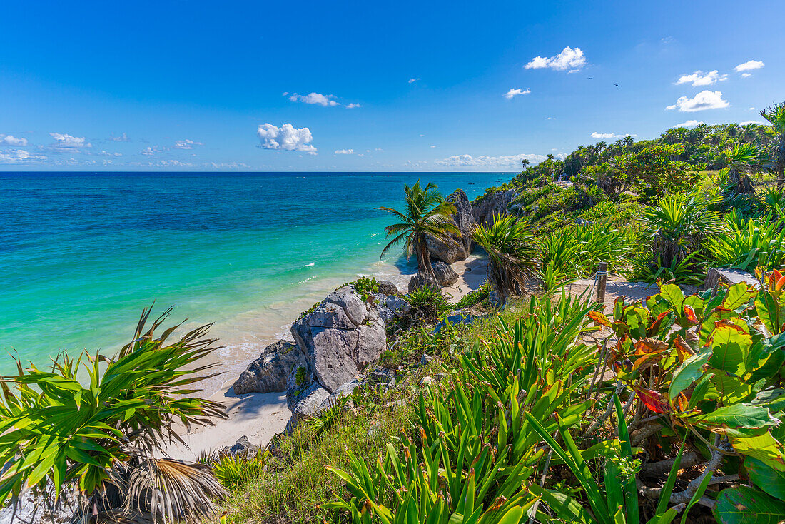 View of coastline overlooking the sea, Tulum, Quintana Roo, Caribbean Coast, Yucatan Peninsula, Riviera Maya, Mexico, North America