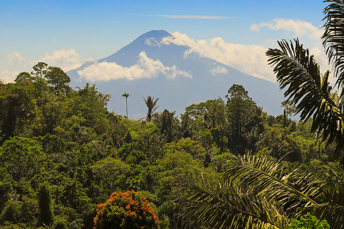 Mount Soputan, an active 1785m stratovolcano that can produce pyroclastic flows and ash clouds, SW of Tomohon, Gunung Soputan, Tomohon, North Sulawesi, Indonesia, Southeast Asia, Asia