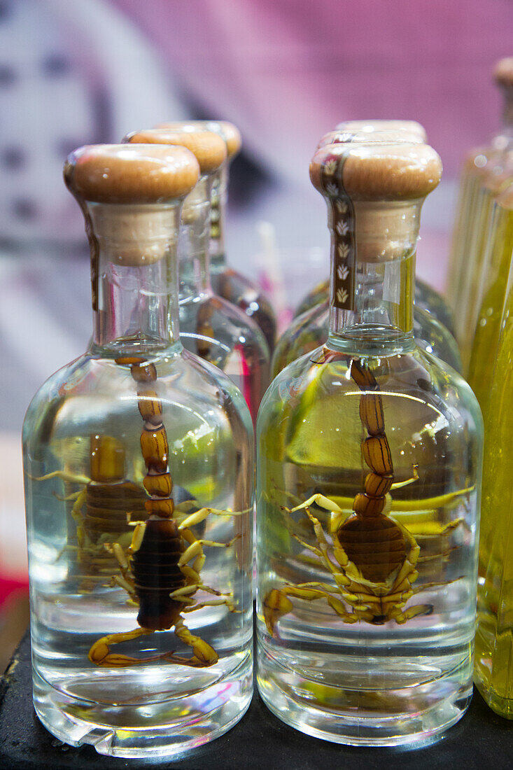 Mezcal-Flaschen mit Skorpionen darin, Zocolo-Markt, Cholula, Bundesstaat Puebla, Mexiko, Nordamerika