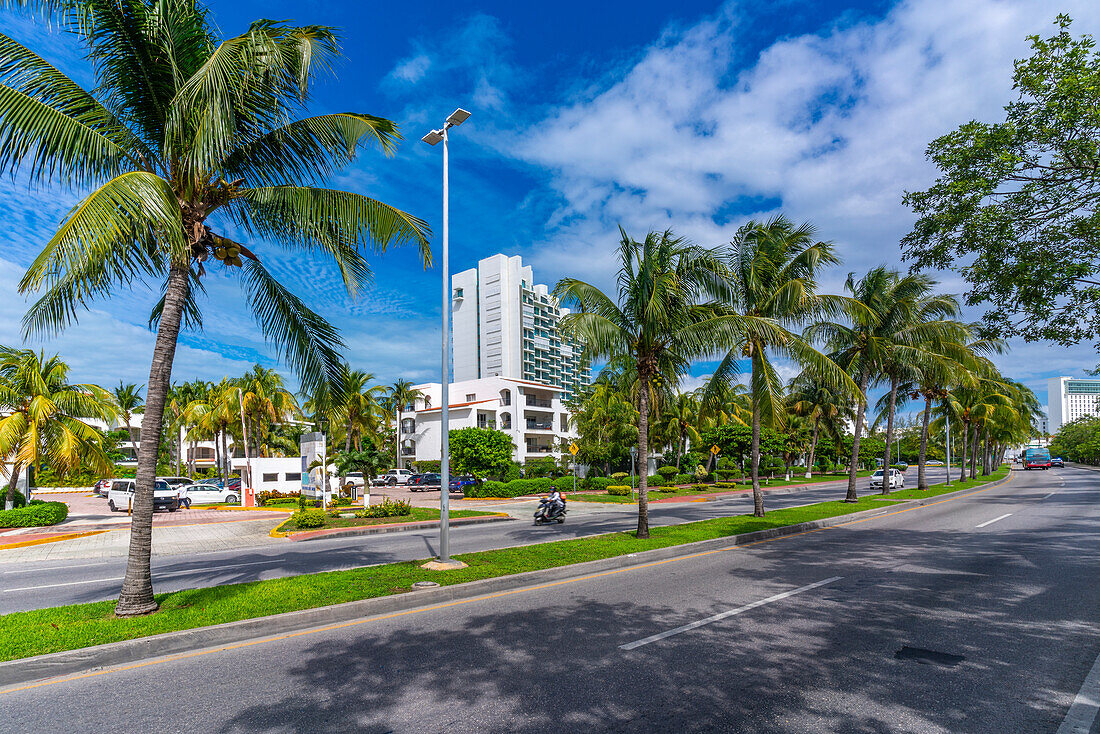 View of hotels and palm trees, Hotel Zone, Cancun, Caribbean Coast, Yucatan Peninsula, Riviera Maya, Mexico, North America