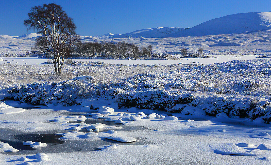 Rannoch Moor in winter, Highland, Scotland, United Kingdom, Europe