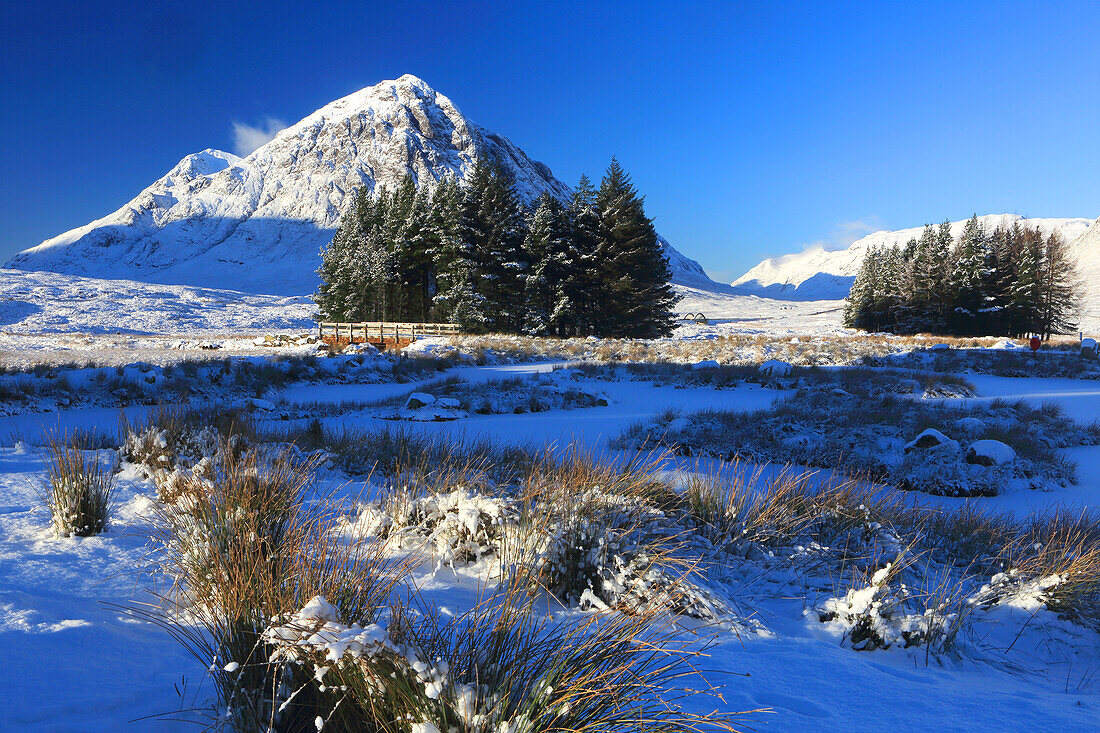 Buachaille Etive Mor, Rannoch Moor, Highland, Schottland, Vereinigtes Königreich, Europa