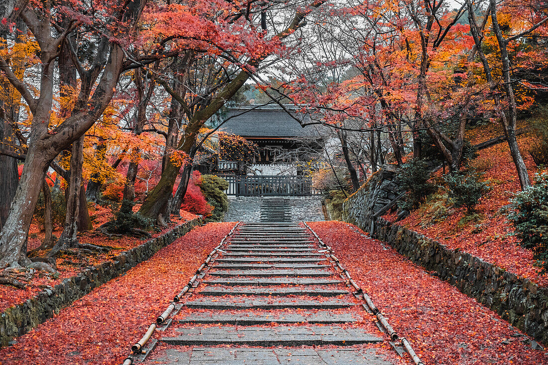 Herbstfarben im buddhistischen Tempel Bishamon-do in Kyoto, Honshu, Japan, Asien