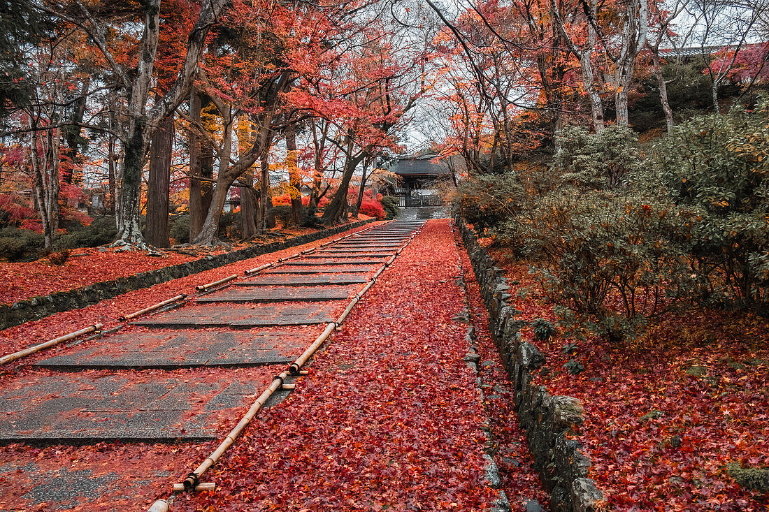 Autumn colors at Bishamon-do Buddhist temple in Kyoto, Honshu, Japan, Asia