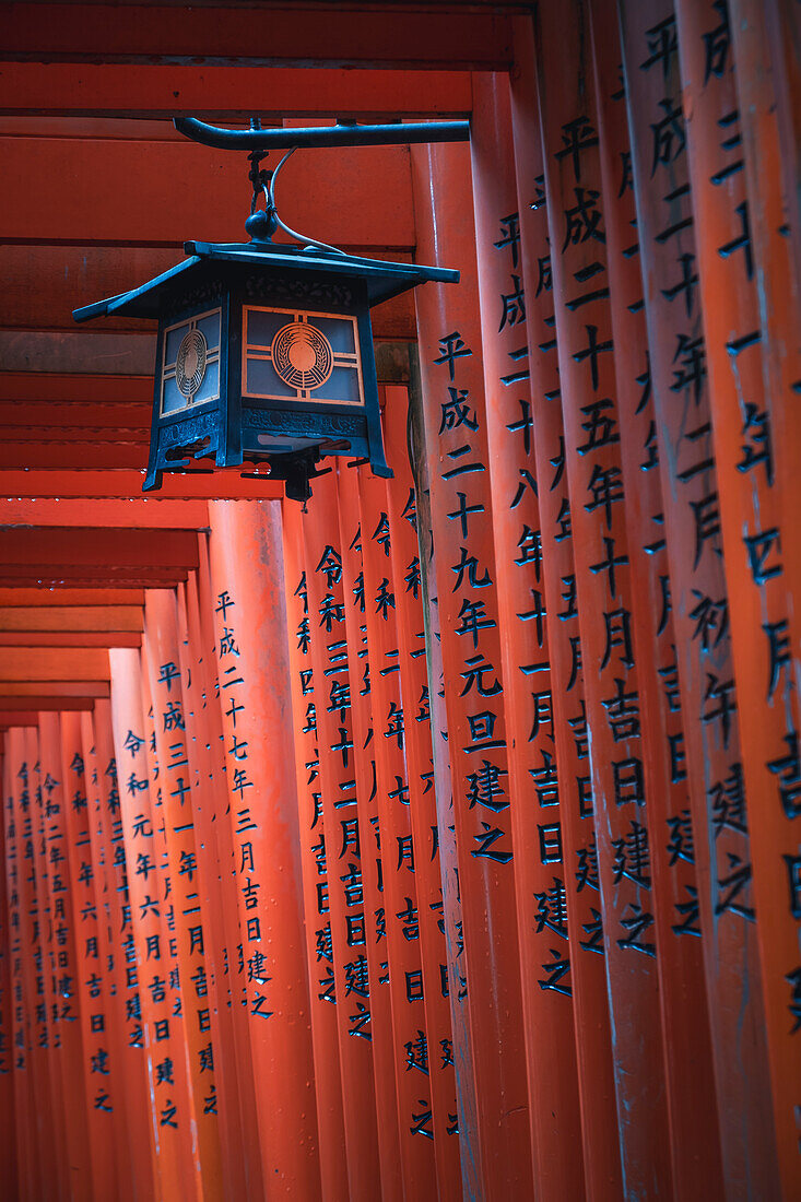 Die roten Torii-Tore am Fushimi Inari Taisha-Schrein in Kyoto, Honshu, Japan, Asien