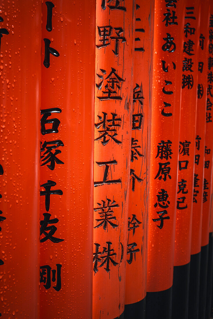 The red Torii Gate details at Fushimi Inari Taisha shrine in Kyoto, Honshu, Japan, Asia