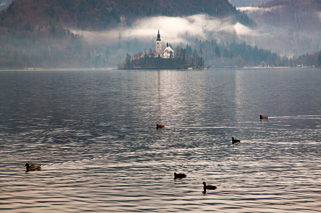 Bleder See, Slowenien, Europa