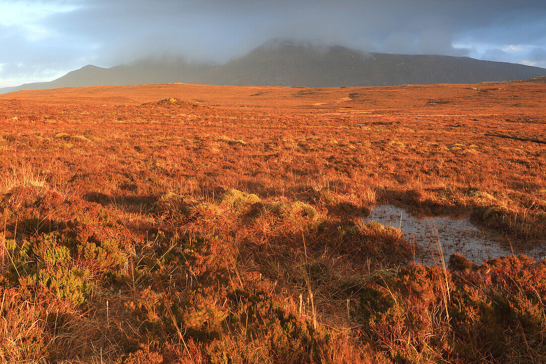 Moorland and mountains of northern Sutherland in winter, Highlands, Scotland, United Kingdom, Europe