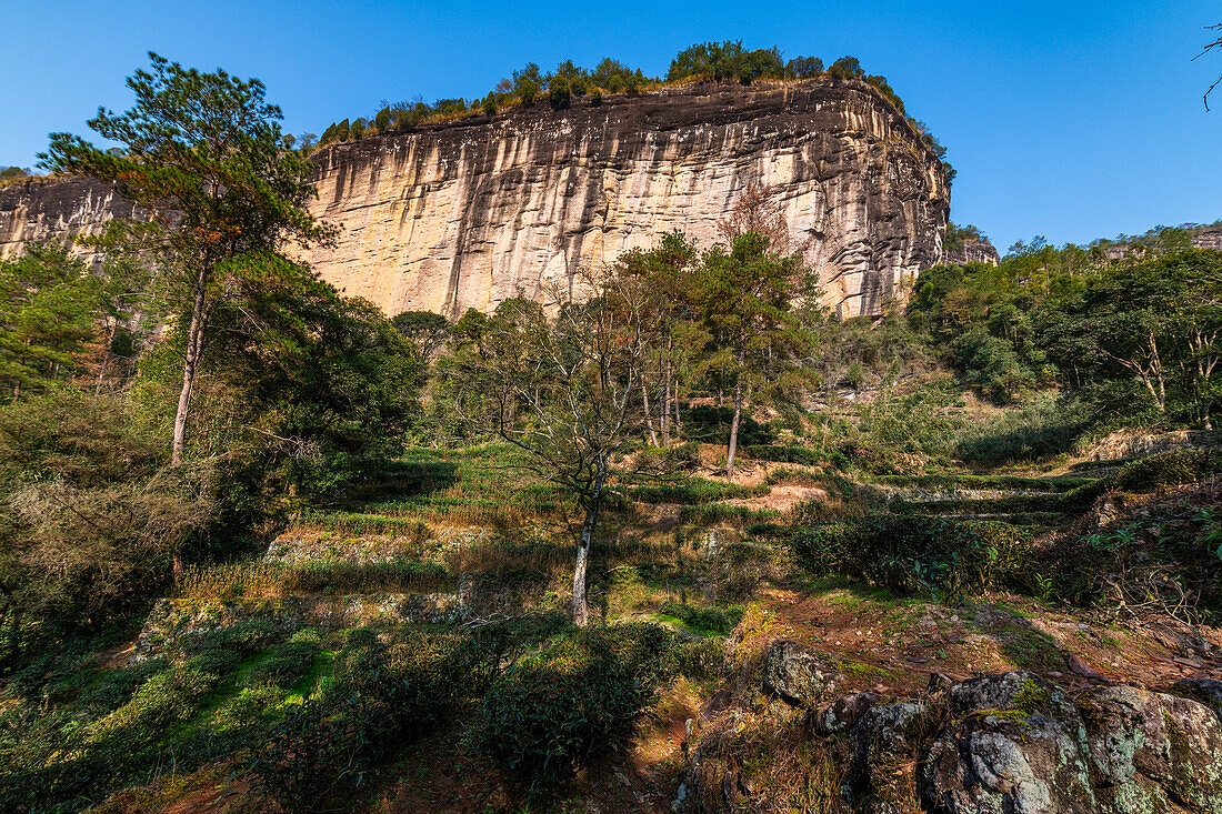 Wuyi Mountains, UNESCO World Heritage Site, Fujian, China, Asia