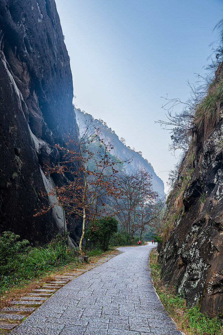 Road leading through huge granite rock walls, Mount Wuyi, UNESCO World Heritage Site, Wuyi Mountains, Fujian, China, Asia