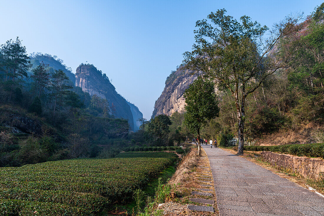 Alley in the Wuyi Mountains, UNESCO World Heritage Site, Fujian, China, Asia