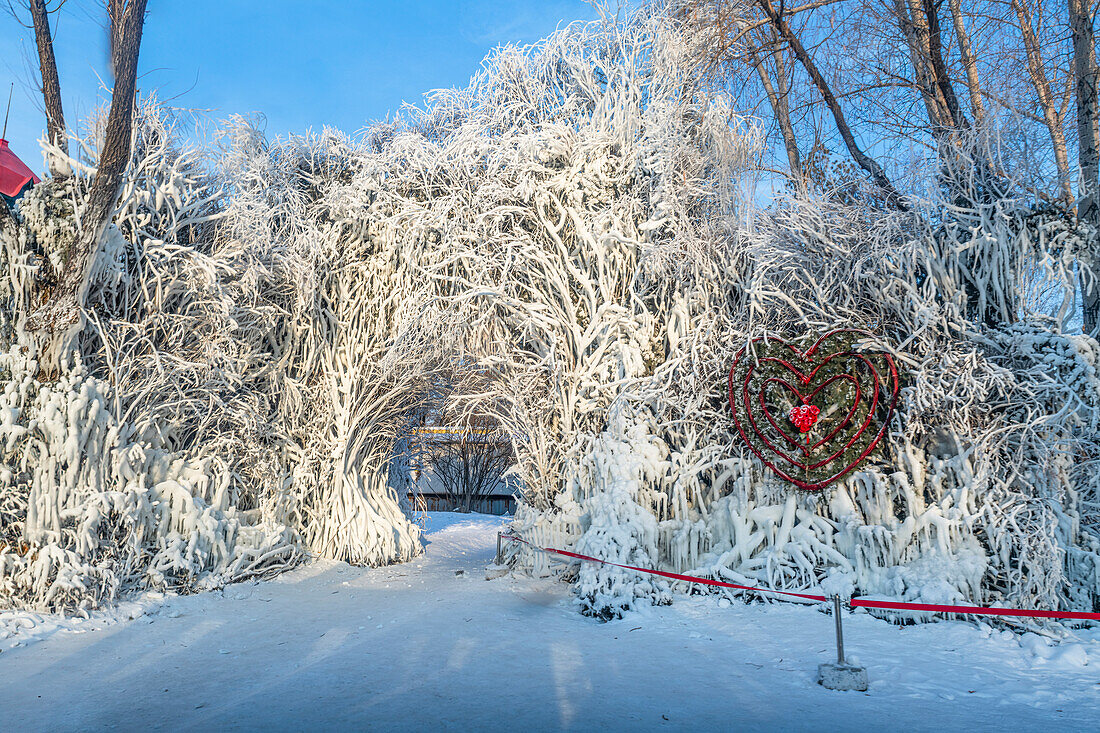 Gefrorener Baum, Schneeskulpturenfestival, Harbin, Heilongjiang, China, Asien