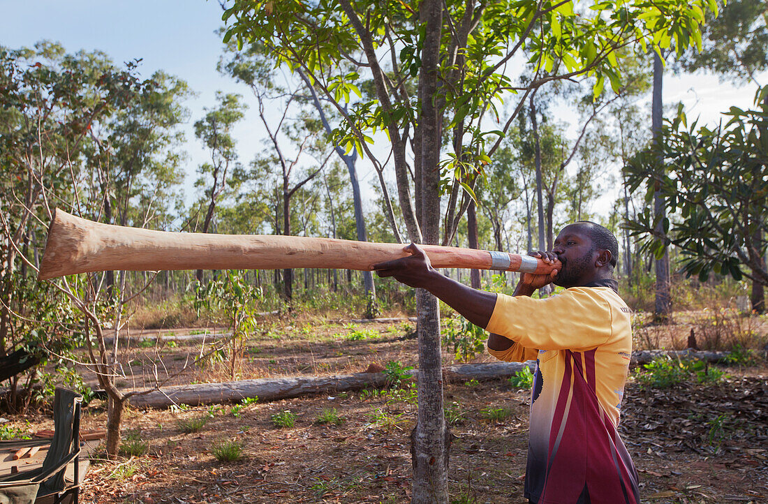 Aboriginal elder playing a freshly cut didgeridoo, Nyinyikay Homeland, East Arnhem Land, Northern Territory, Australia, Pacific