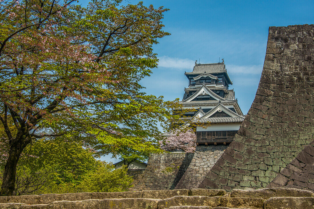 Japanisches Schloss Kumamoto, Kumamoto, Kyushu, Japan, Asien