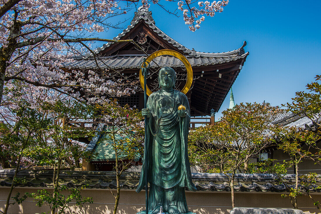 Statue in der Kirschblüte im Maruyama-Koen-Park, Kyoto, Honshu, Japan, Asien