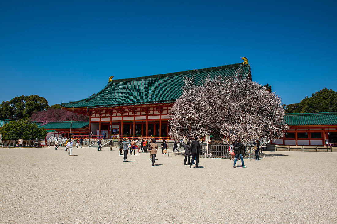 Park in the Heian Jingu Shrine, Kyoto, Honshu, Japan, Asia