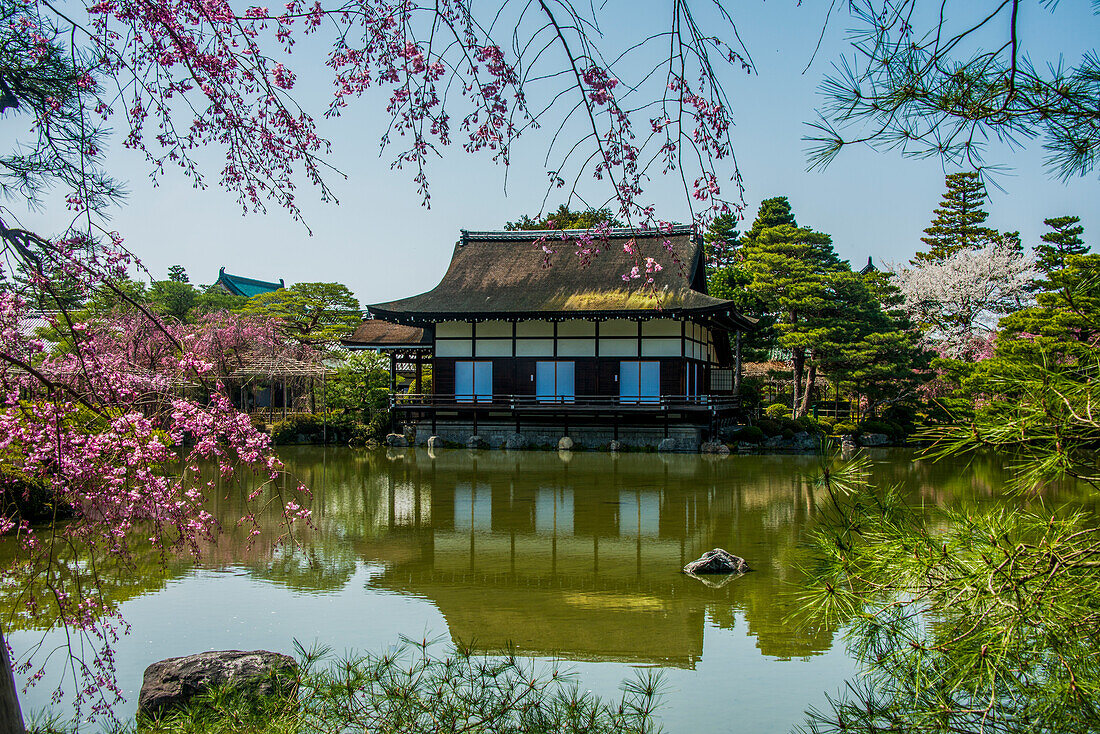 Okazaki-Park im Heian-Jingu-Schrein, Kyoto, Honshu, Japan, Asien