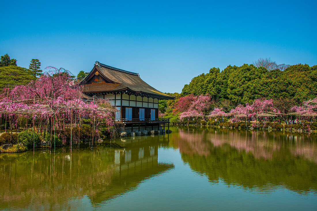 Okazaki-Park im Heian-Jingu-Schrein, Kyoto, Honshu, Japan, Asien