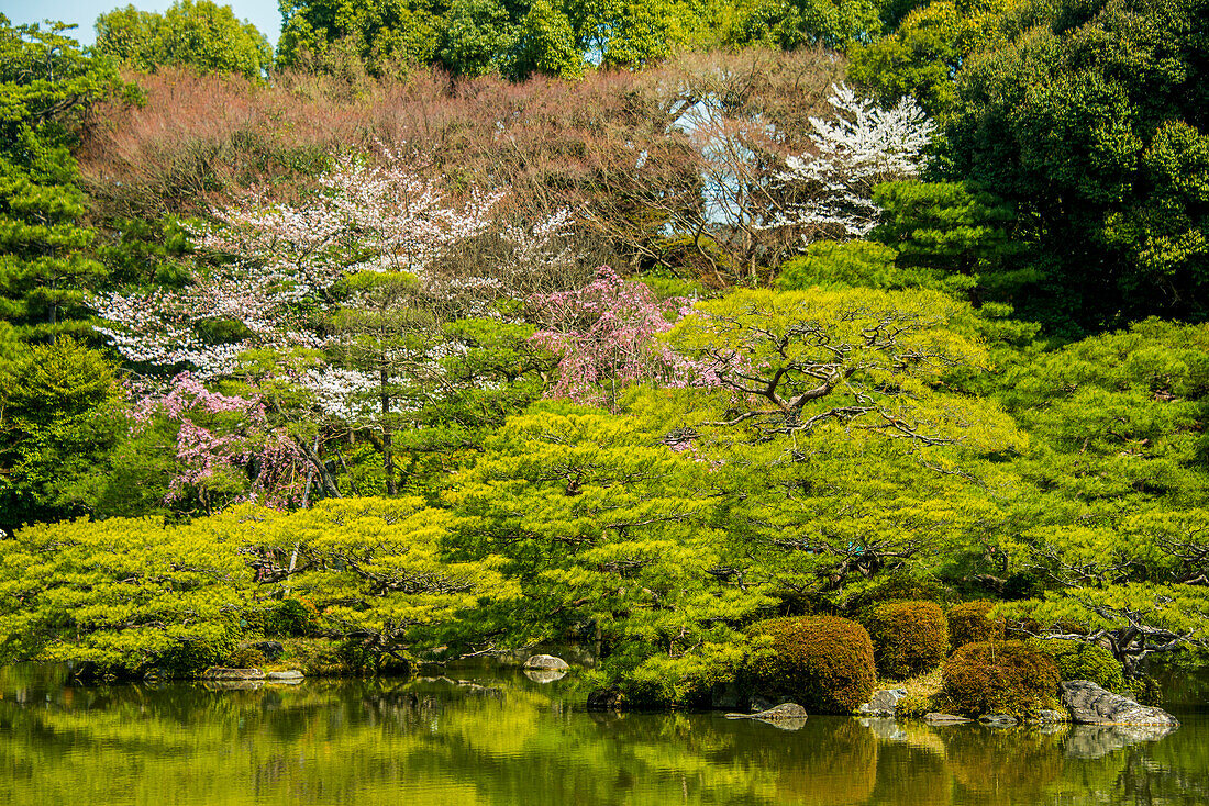 Okazaki-Park im Heian-Jingu-Schrein, Kyoto, Honshu, Japan, Asien