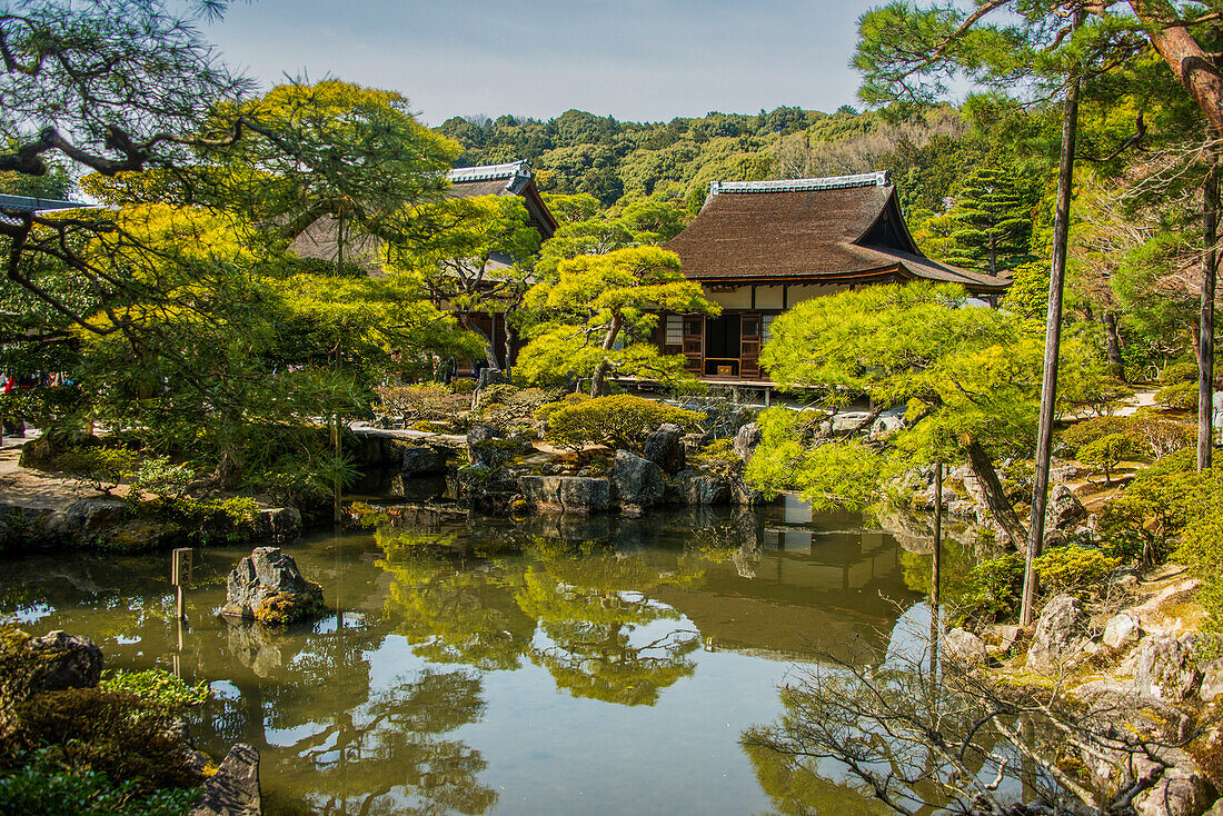 Ginkaku-ji Zen-Tempel (Jisho-ji) (Tempel des Silbernen Pavillons), UNESCO-Weltkulturerbe, Kyoto, Honshu, Japan, Asien