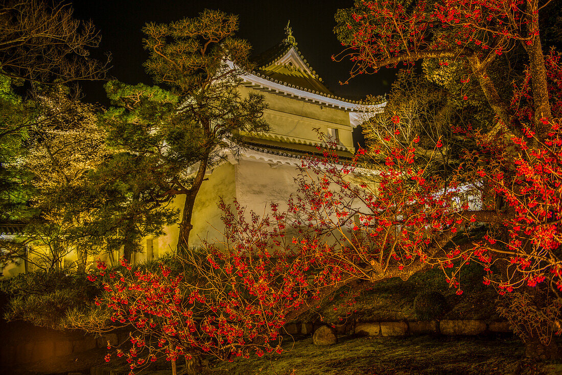 Nächtlich beleuchteter Kyotoer Kaiserpalast während der Kirschblüte, Kyoto, Honshu, Japan, Asien