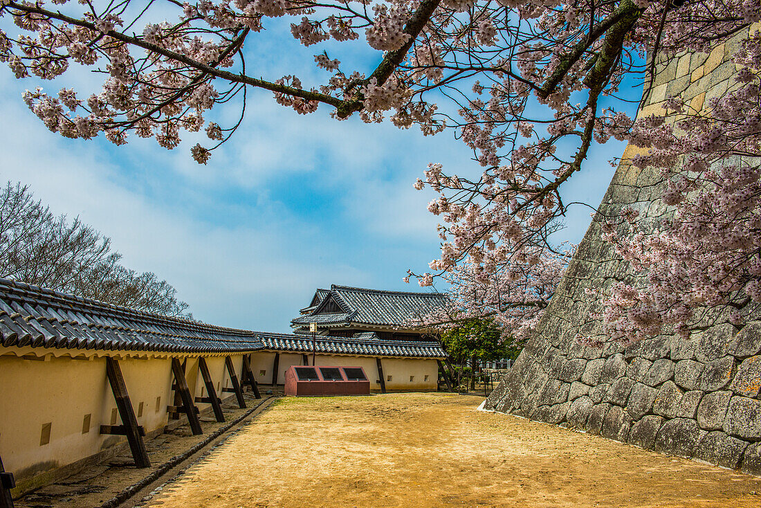 Matsuyama Castle, Shikoku, Japan, Asia