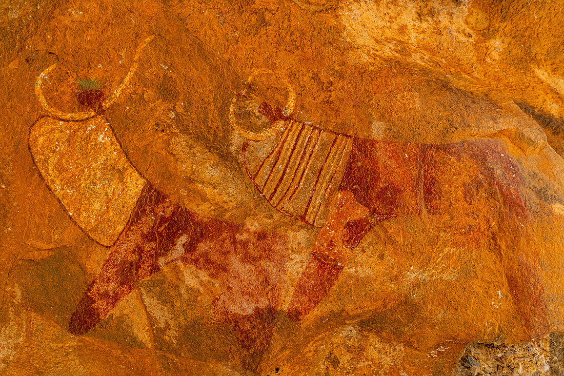 Rock art paintings of Laas Geel, near Hargeisa, Somaliland, Somalia, Africa