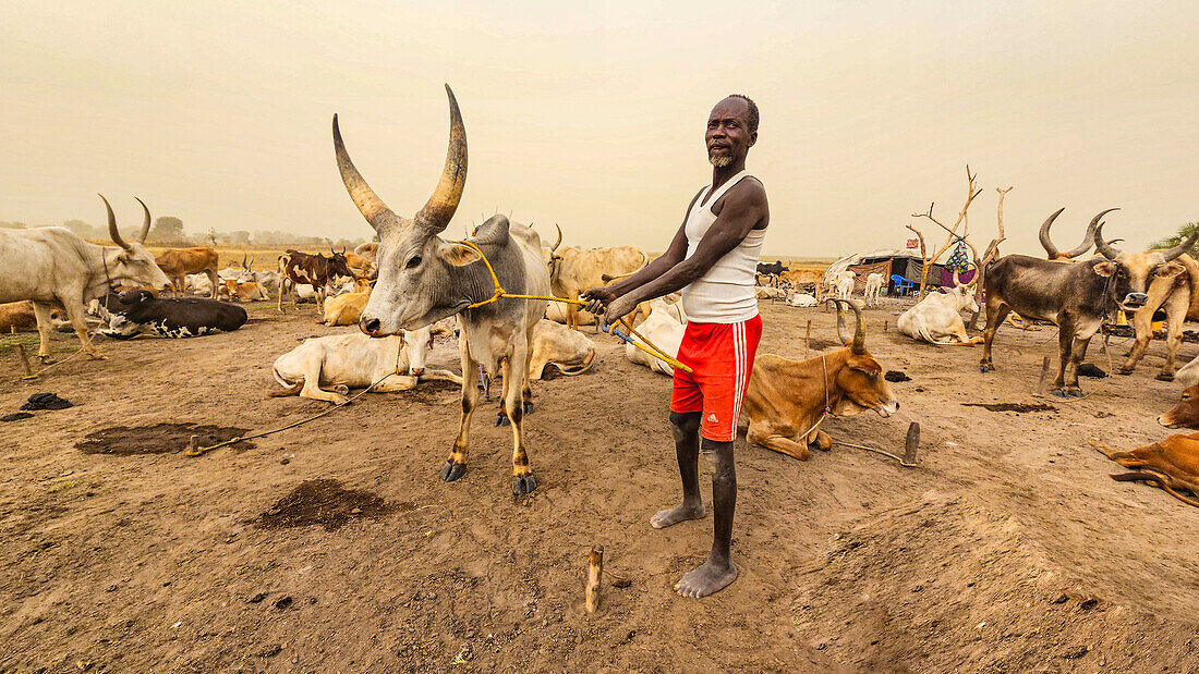 Man in the Dinka cattle camp, Bor, central region, South Sudan, Africa