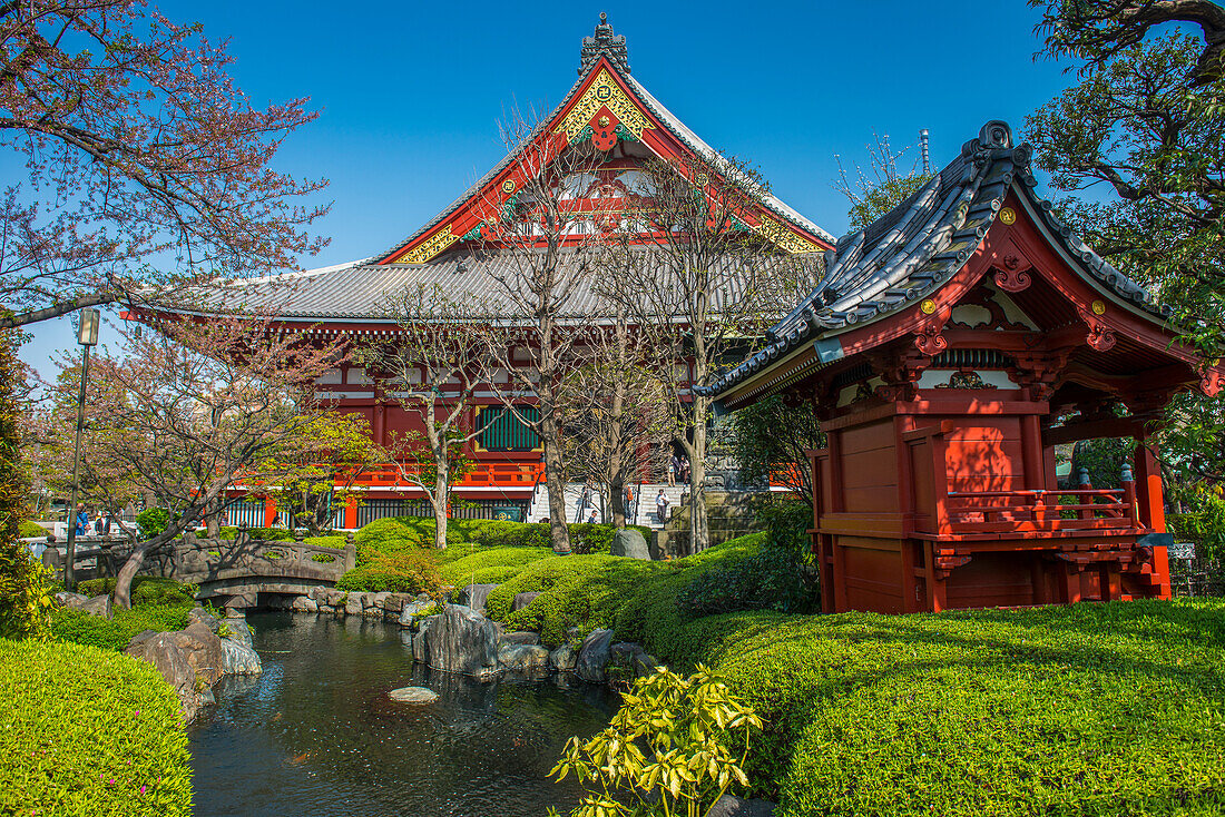 Kleiner Schrein im Senso-ji-Tempel, Asakusa, Tokio, Honshu, Japan, Asien