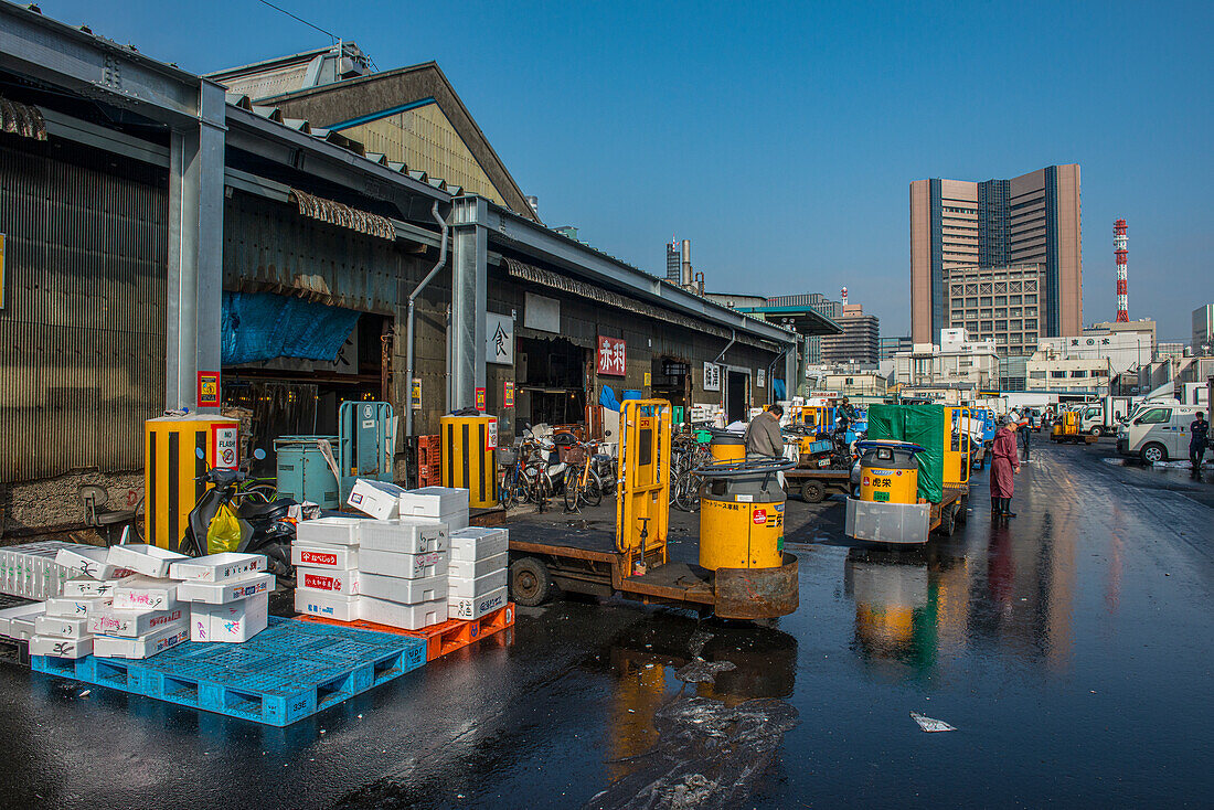 Tsukiji Fish Market, Tokyo, Honshu, Japan, Asia