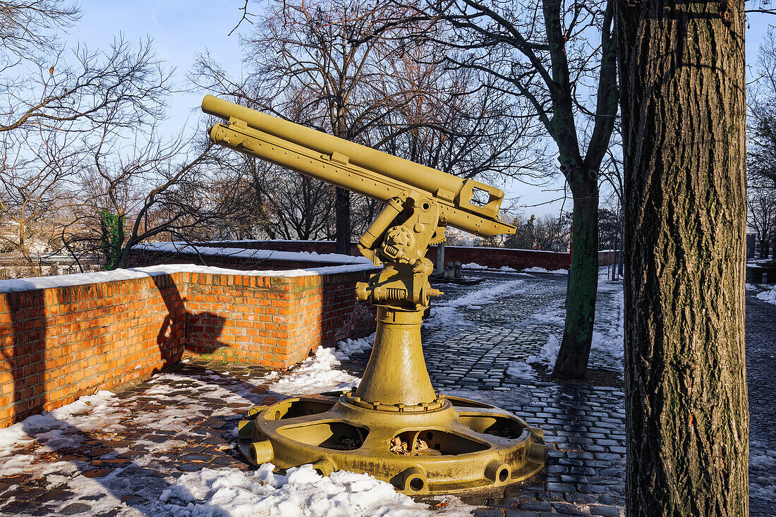 Buda Castle canon at bastion in winter with melting snow around, Budapest, Hungary, Europe