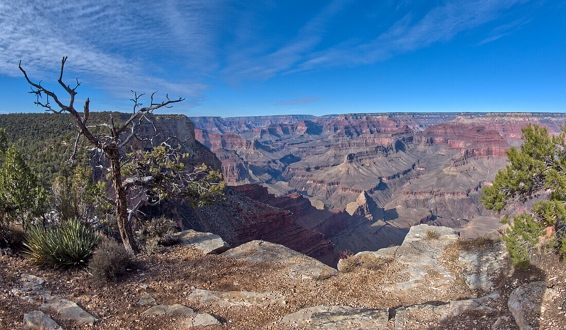 Die Klippen des Grand Canyon westlich des Monument Creek Vista, Grand Canyon National Park, UNESCO-Weltnaturerbe, Arizona, Vereinigte Staaten von Amerika, Nordamerika