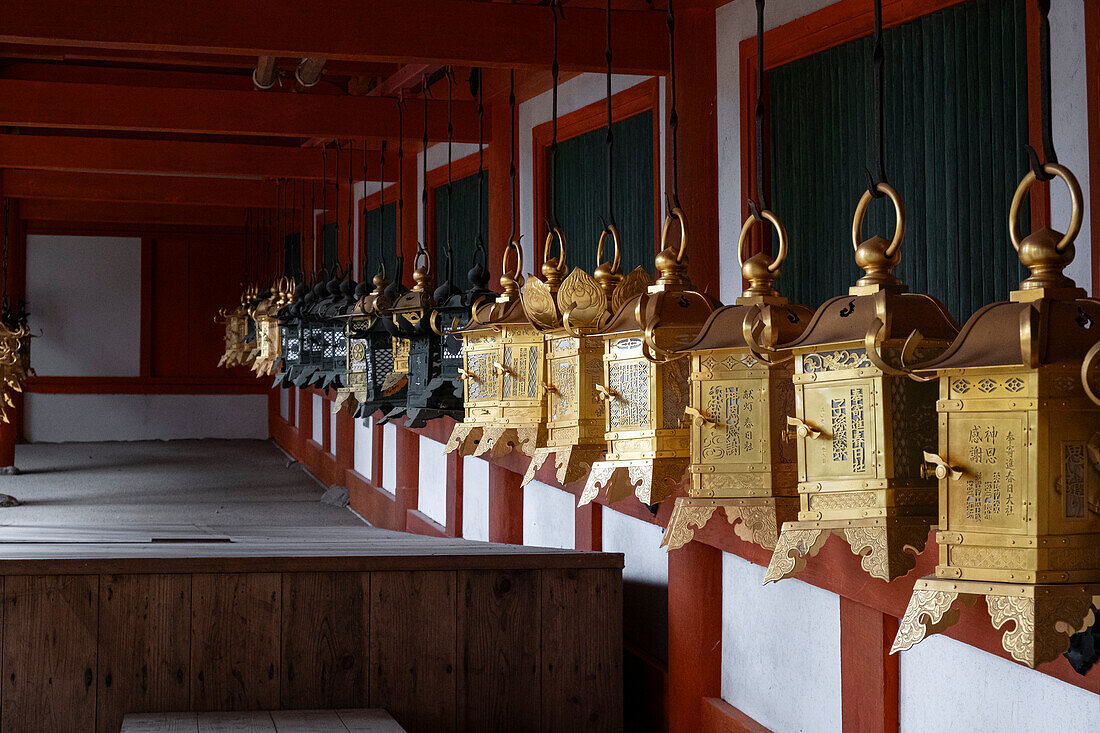 Eine Reihe von Laternen in leuchtenden Goldfarben hängt anmutig von einem Portikus eines Tempels in Nara, Honshu, Japan, Asien