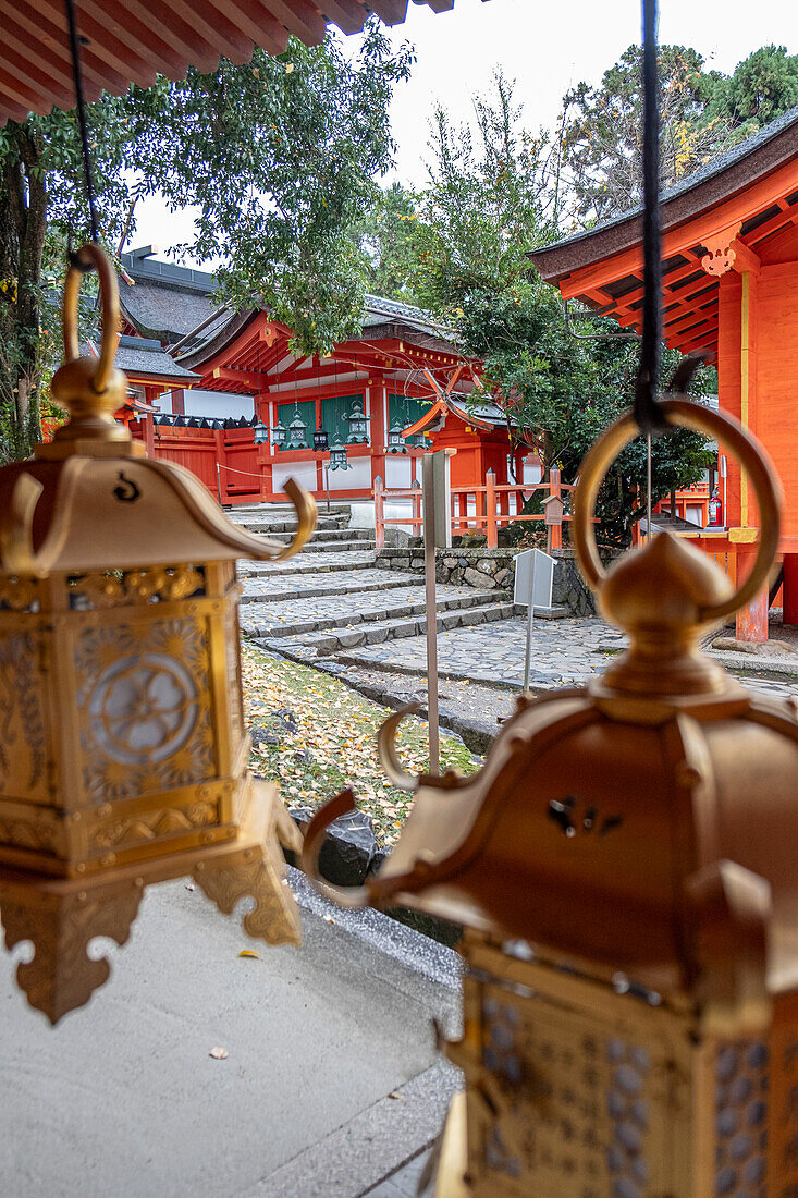 Eine Reihe von Laternen in leuchtenden Goldfarben hängt anmutig von einem Portikus eines Tempels in Nara, Honshu, Japan, Asien