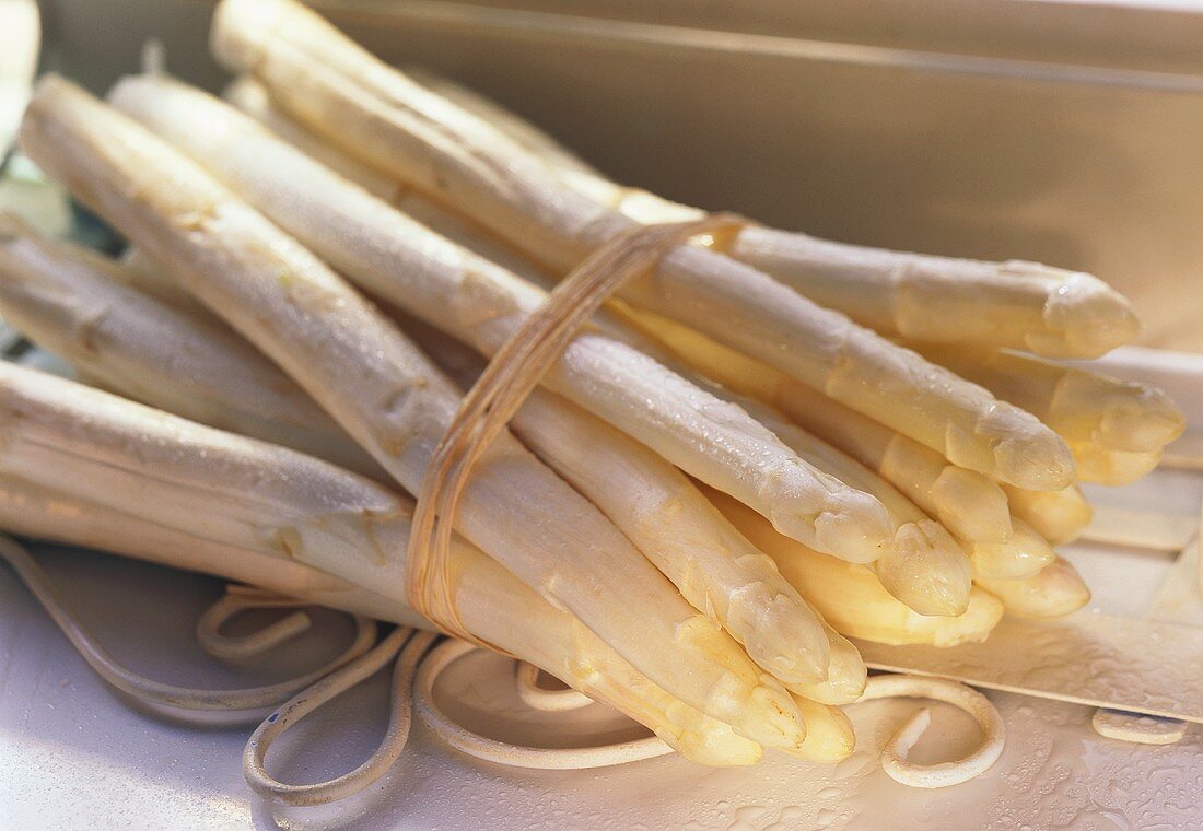 A bundle of white asparagus