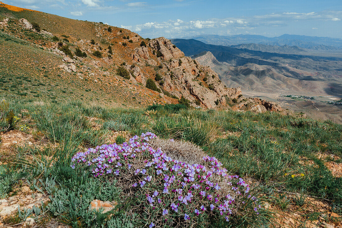 Hiking in Vayots Dzor, known for its red-hued mountains, Armenia (Hayastan), Caucasus, Central Asia, Asia