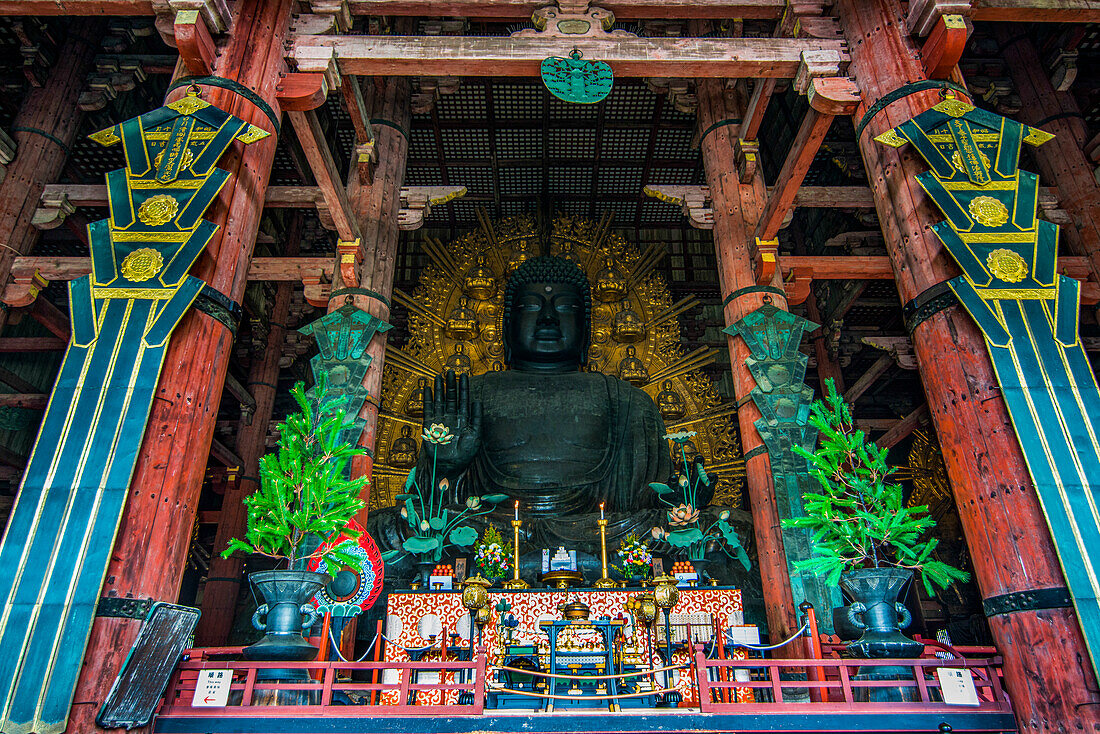 Big Buddha, Daibutsuden (Big Buddha Hall), Todaiji Temple, UNESCO World Heritage Site, Nara, Kansai, Honshu, Japan, Asia