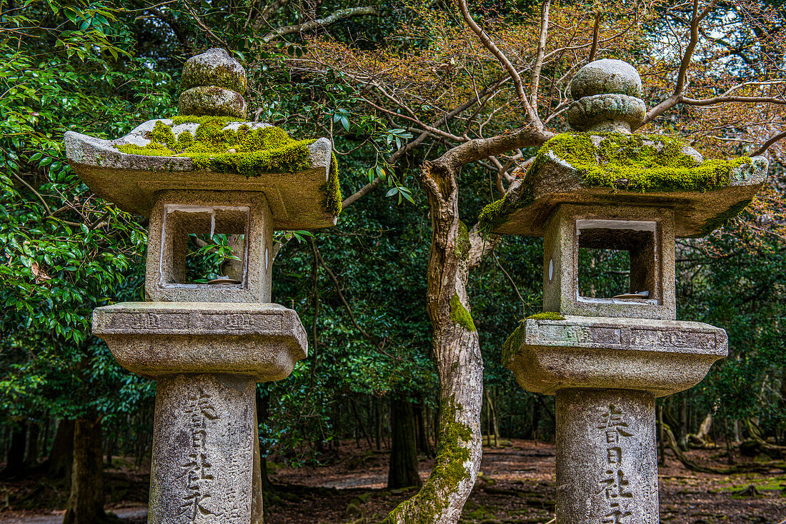 Steinlaternen, UNESCO-Welterbestätte, Nara, Kansai, Honshu, Japan, Asien