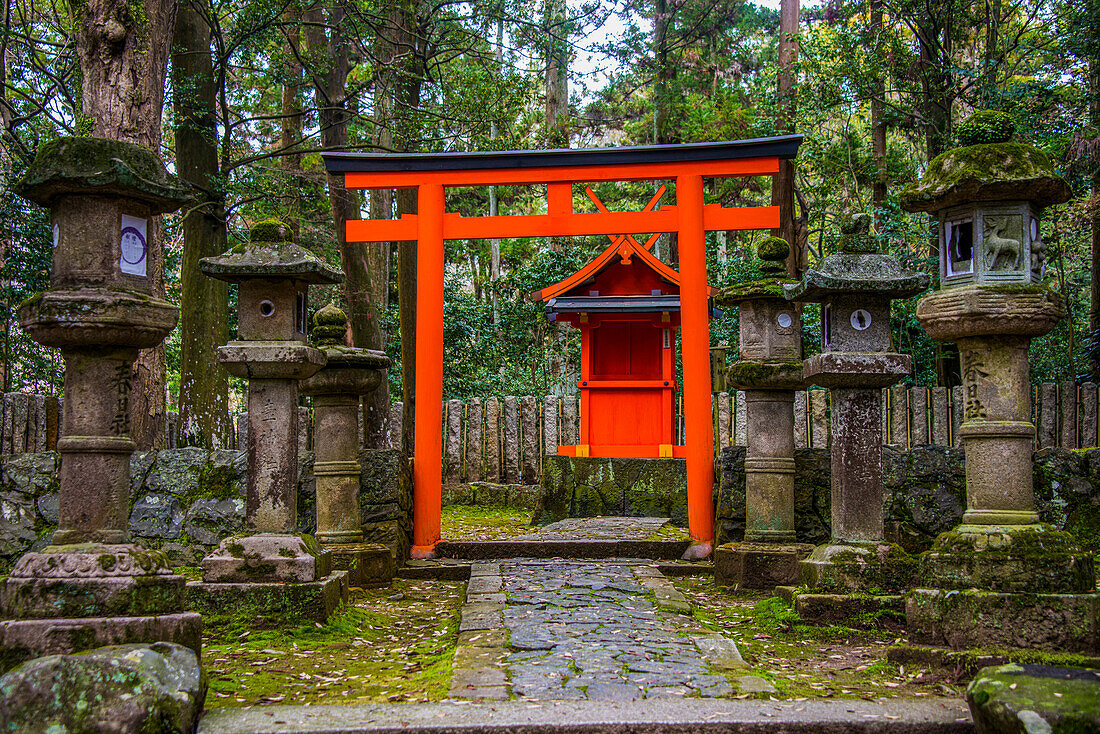 Roter Bogen und Steinlaternen, UNESCO-Welterbe, Nara, Kansai, Honshu, Japan, Asien