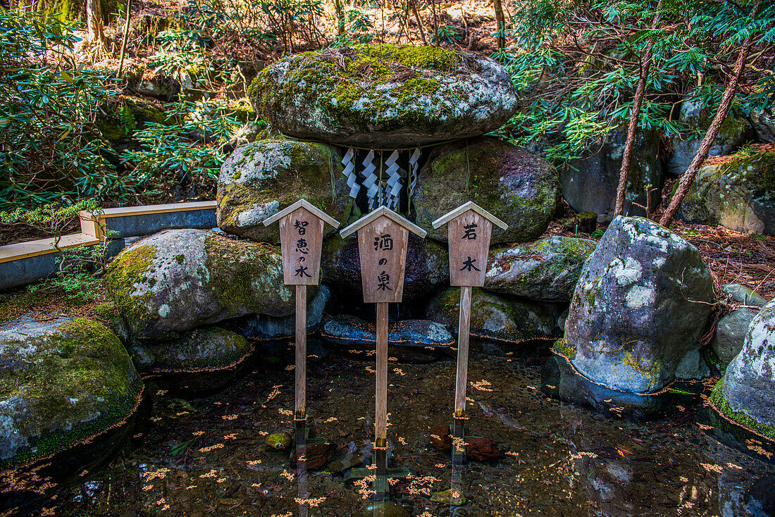 Holzschild, Futarasan-Schrein, UNESCO-Welterbestätte, Nikko, Präfektur Tochigi, Kanto, Honshu, Japan, Asien