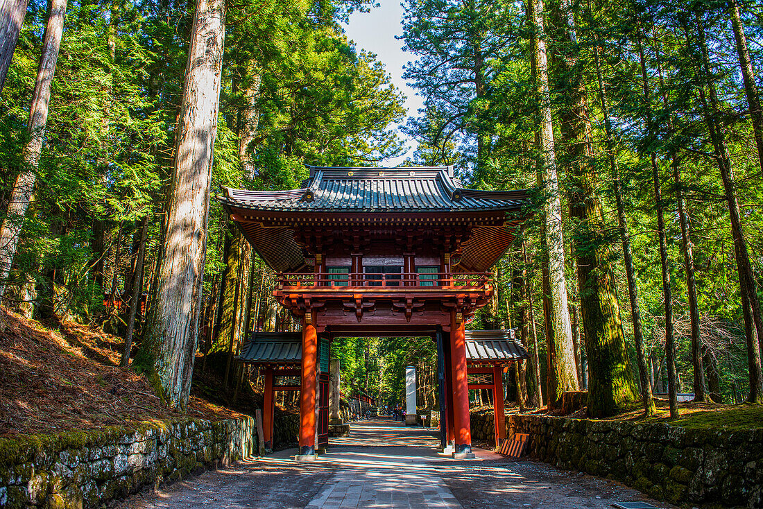 Eingangstor zum Futarasan-Schrein, UNESCO-Welterbestätte, Nikko, Präfektur Tochigi, Kanto, Honshu, Japan, Asien