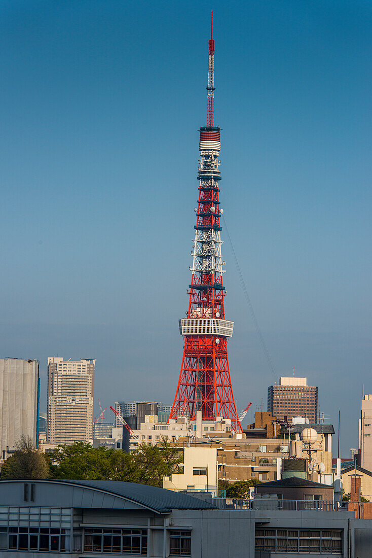 View over Tokyo with the Tokyo Tower, from the Mori Tower, Roppongi Hills, Tokyo, Honshu, Japan, Asia