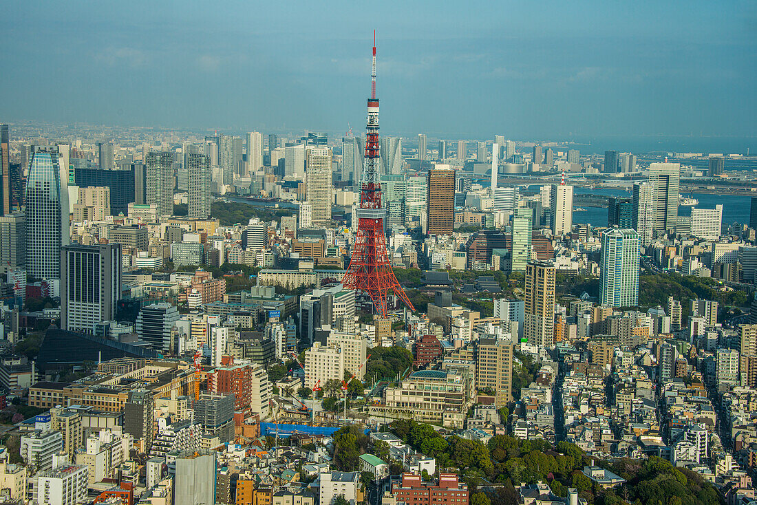 View over Tokyo with the Tokyo Tower, from the Mori Tower, Roppongi Hills, Tokyo, Honshu, Japan, Asia